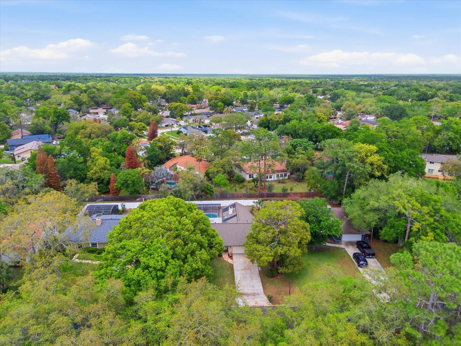 393 WEKIVA COVE RD, LONGWOOD, FL, 32779