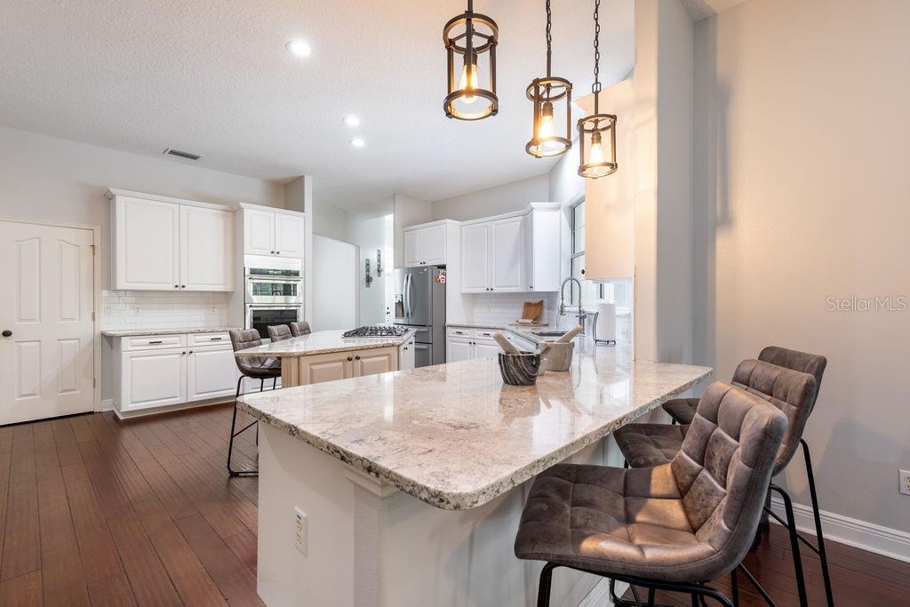 34041 VALENCIA DR, LEESBURG, FL, 34788