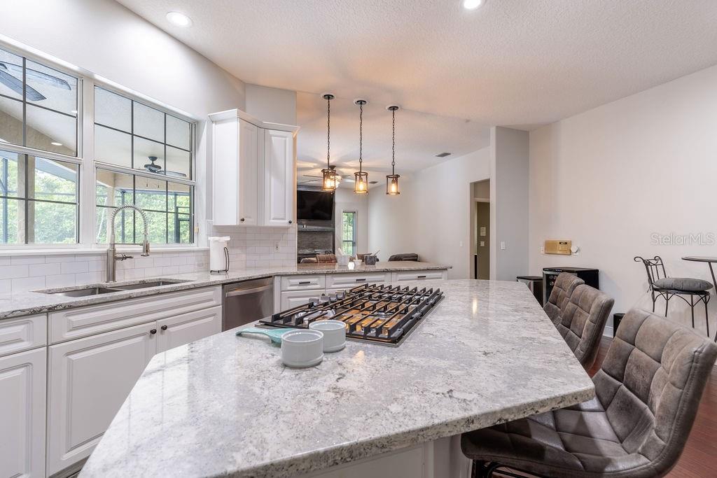 34041 VALENCIA DR, LEESBURG, FL, 34788