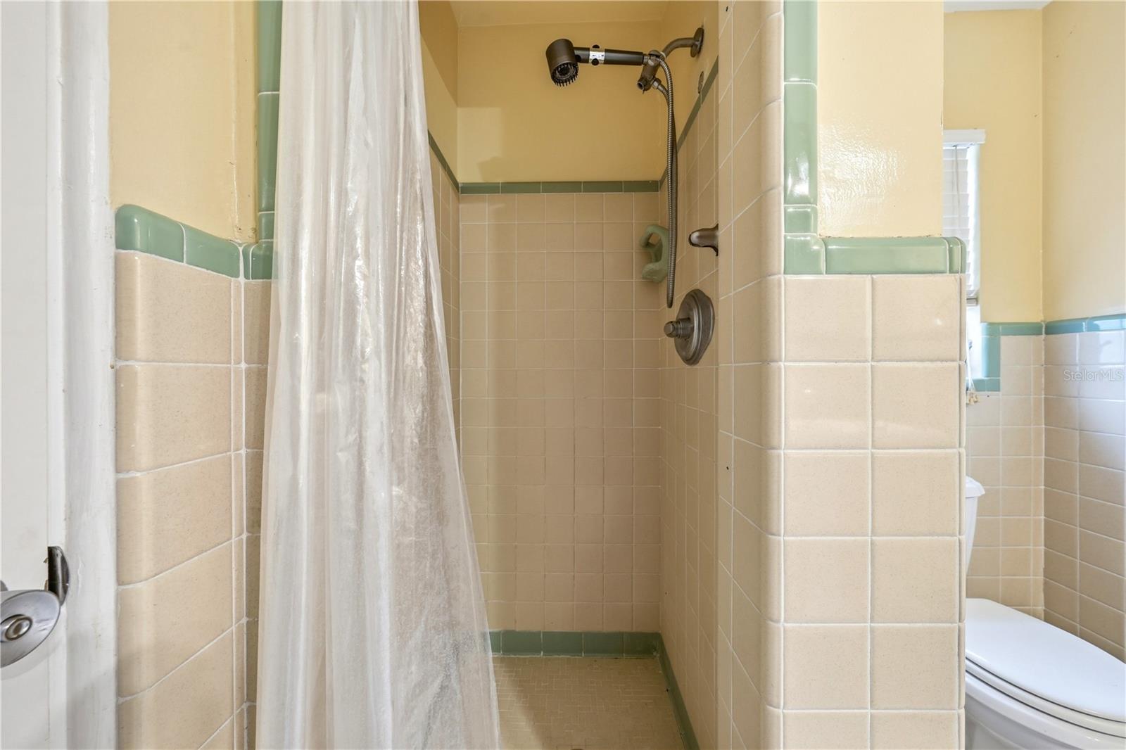 126 E MAGNOLIA AVE, HOWEY IN THE HILLS, FL, 34737