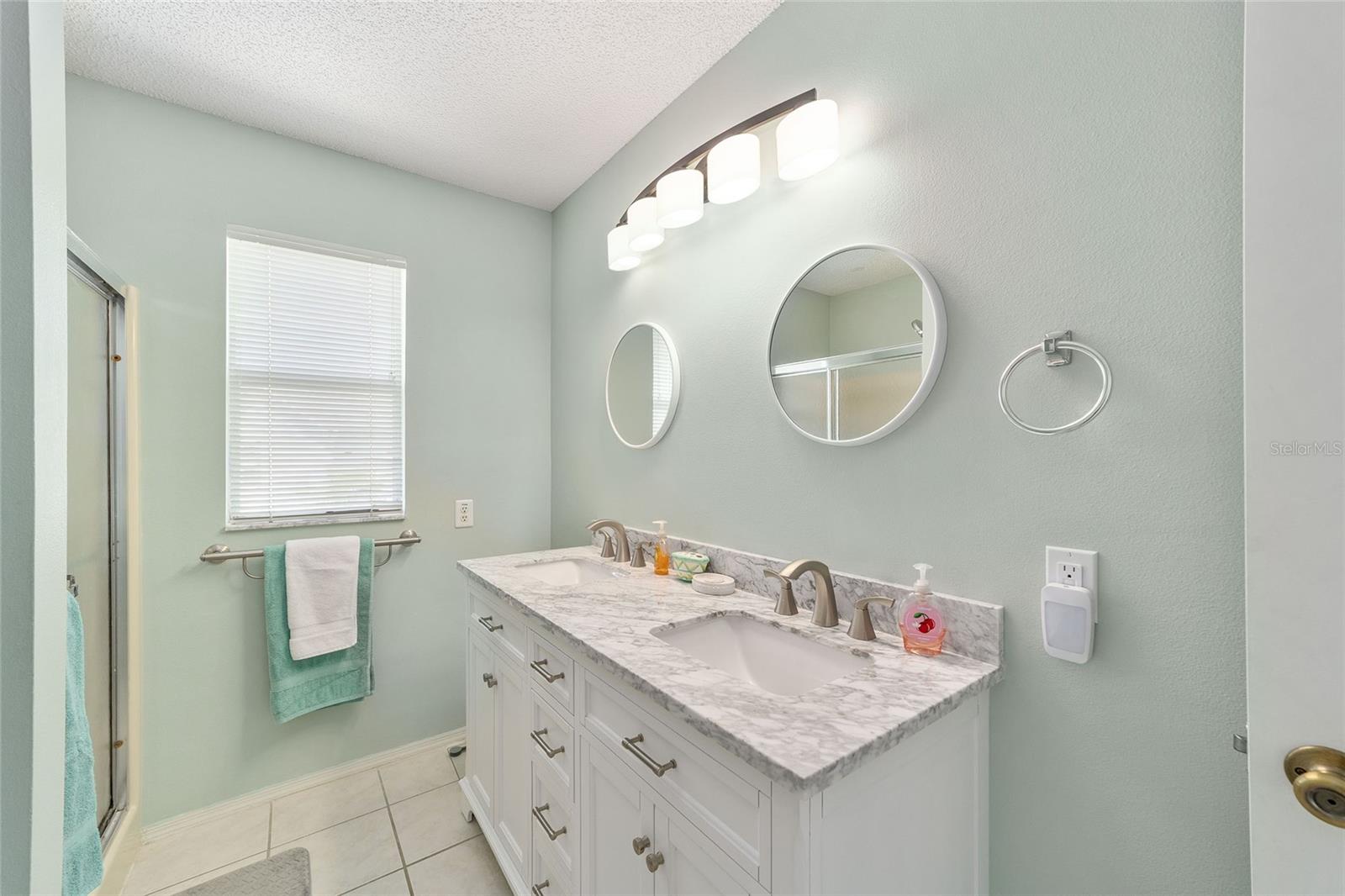 435 SANTA CLARA CIR, THE VILLAGES, FL, 32159