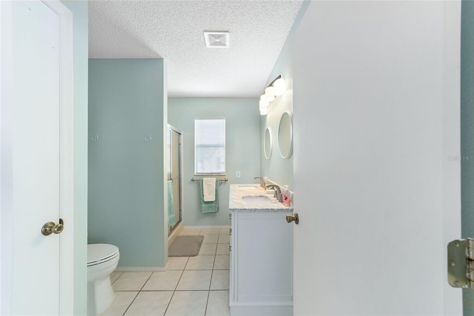 435 SANTA CLARA CIR, THE VILLAGES, FL, 32159