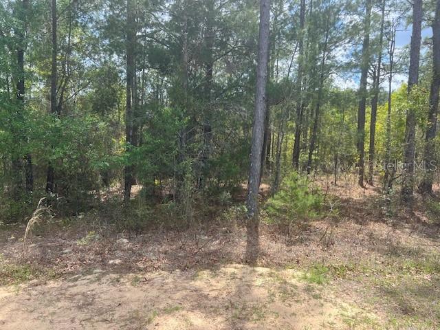 181 WHIRLWIND LOOP, HAWTHORNE, FL, 32640