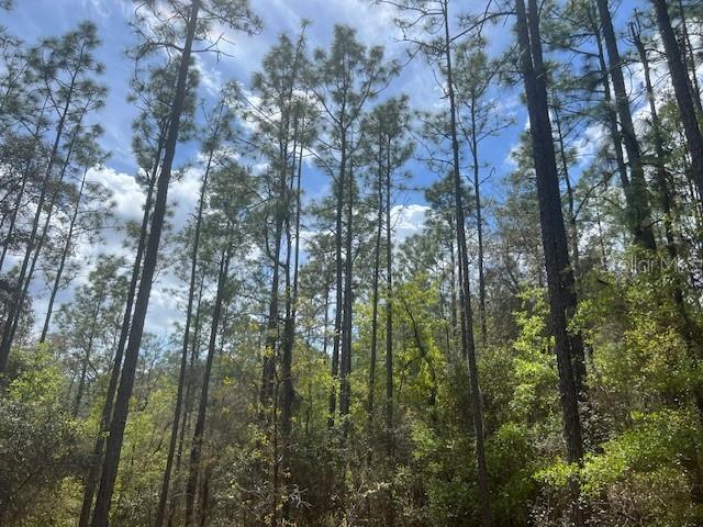 181 WHIRLWIND LOOP, HAWTHORNE, FL, 32640