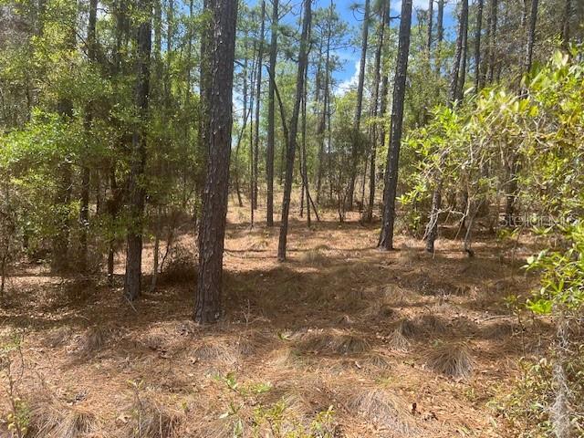 181 WHIRLWIND LOOP, HAWTHORNE, FL, 32640