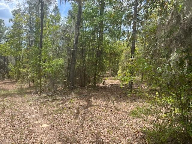 181 WHIRLWIND LOOP, HAWTHORNE, FL, 32640