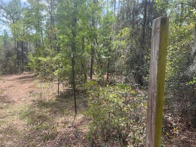 181 WHIRLWIND LOOP, HAWTHORNE, FL, 32640