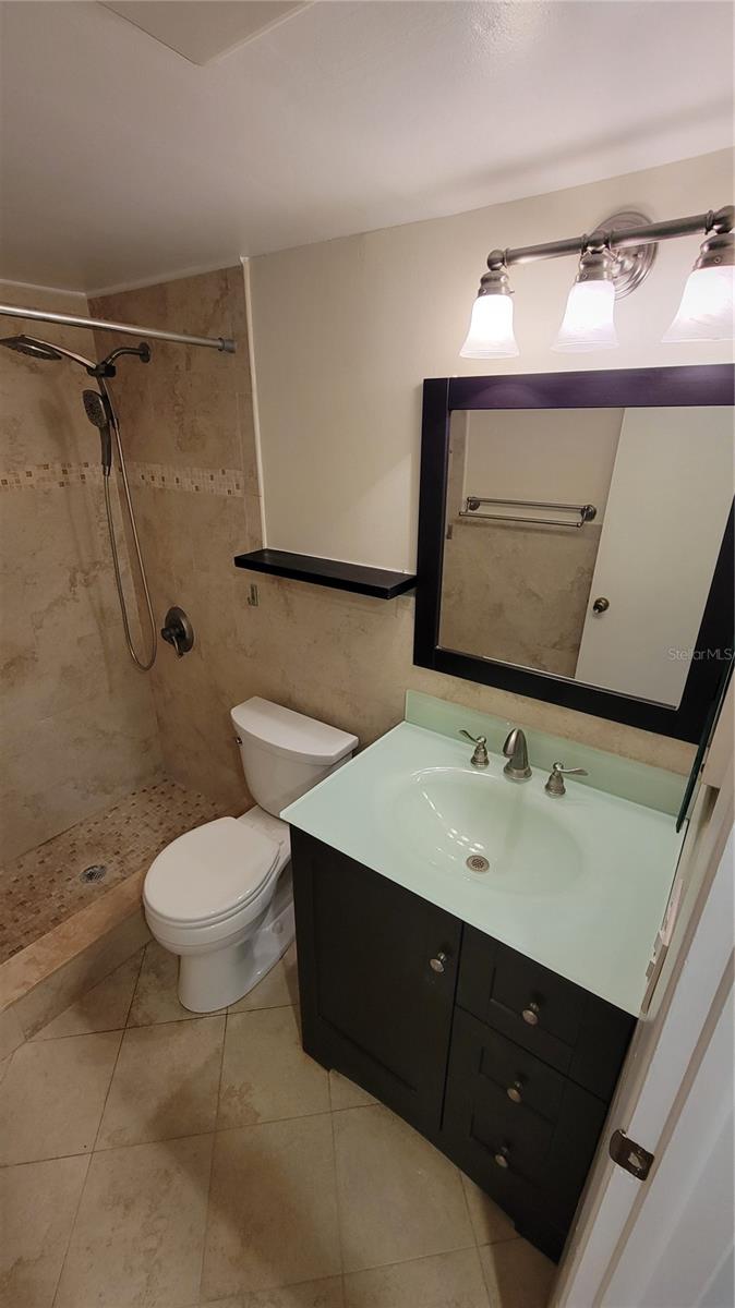 4607 W FIG ST #203, TAMPA, FL, 33609