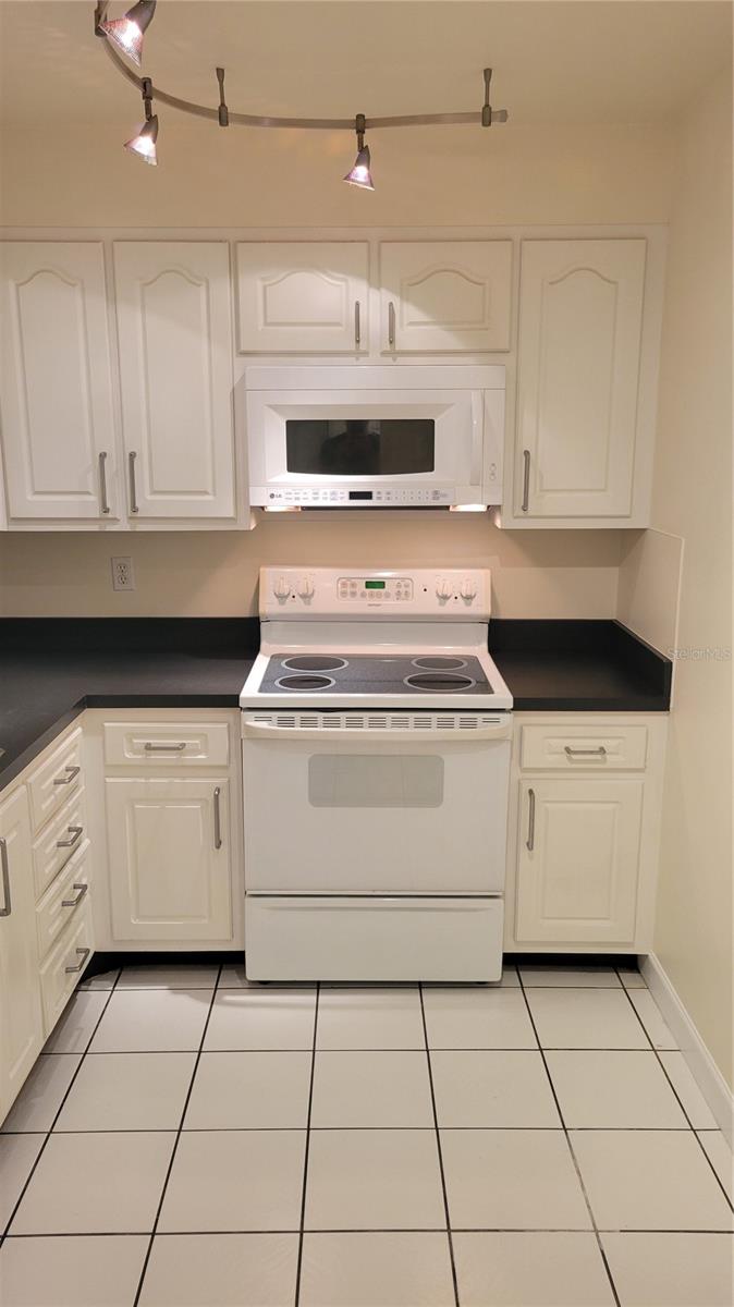 4607 W FIG ST #203, TAMPA, FL, 33609