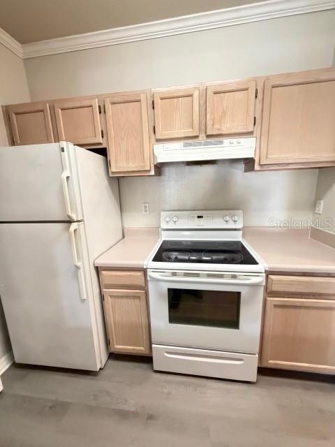 5620 PINNACLE HEIGHTS CIR #202, TAMPA, FL, 33624