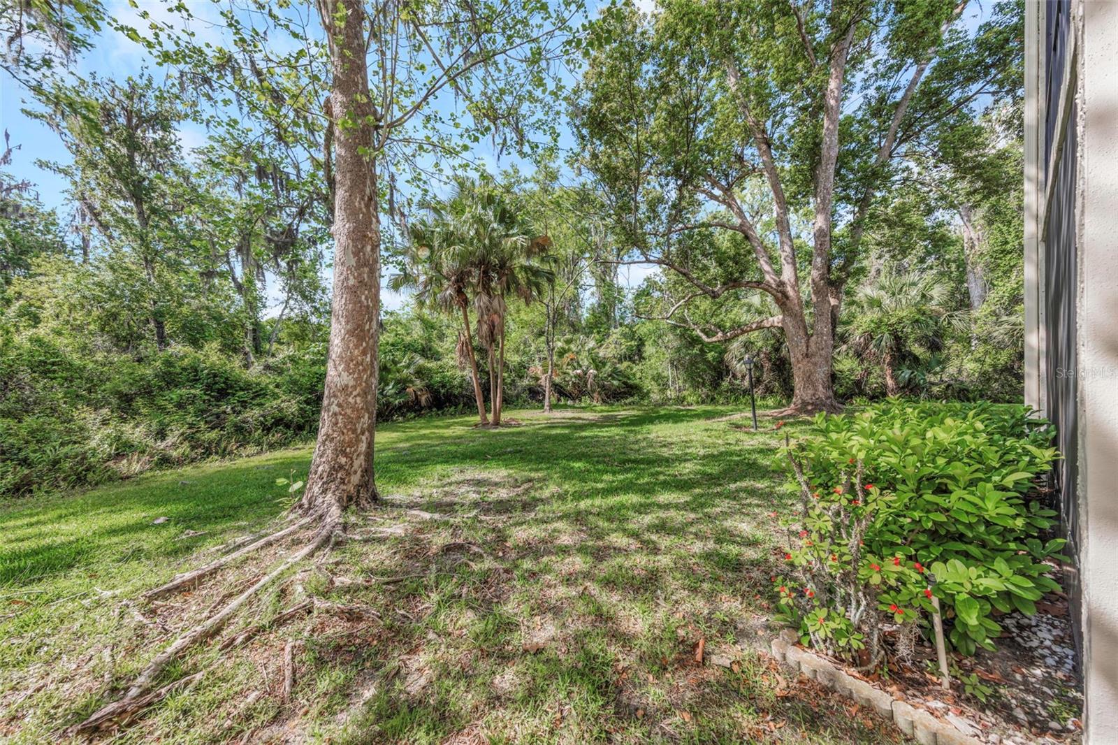 3166 LAKE PINE WAY S #H1, TARPON SPRINGS, FL, 34688
