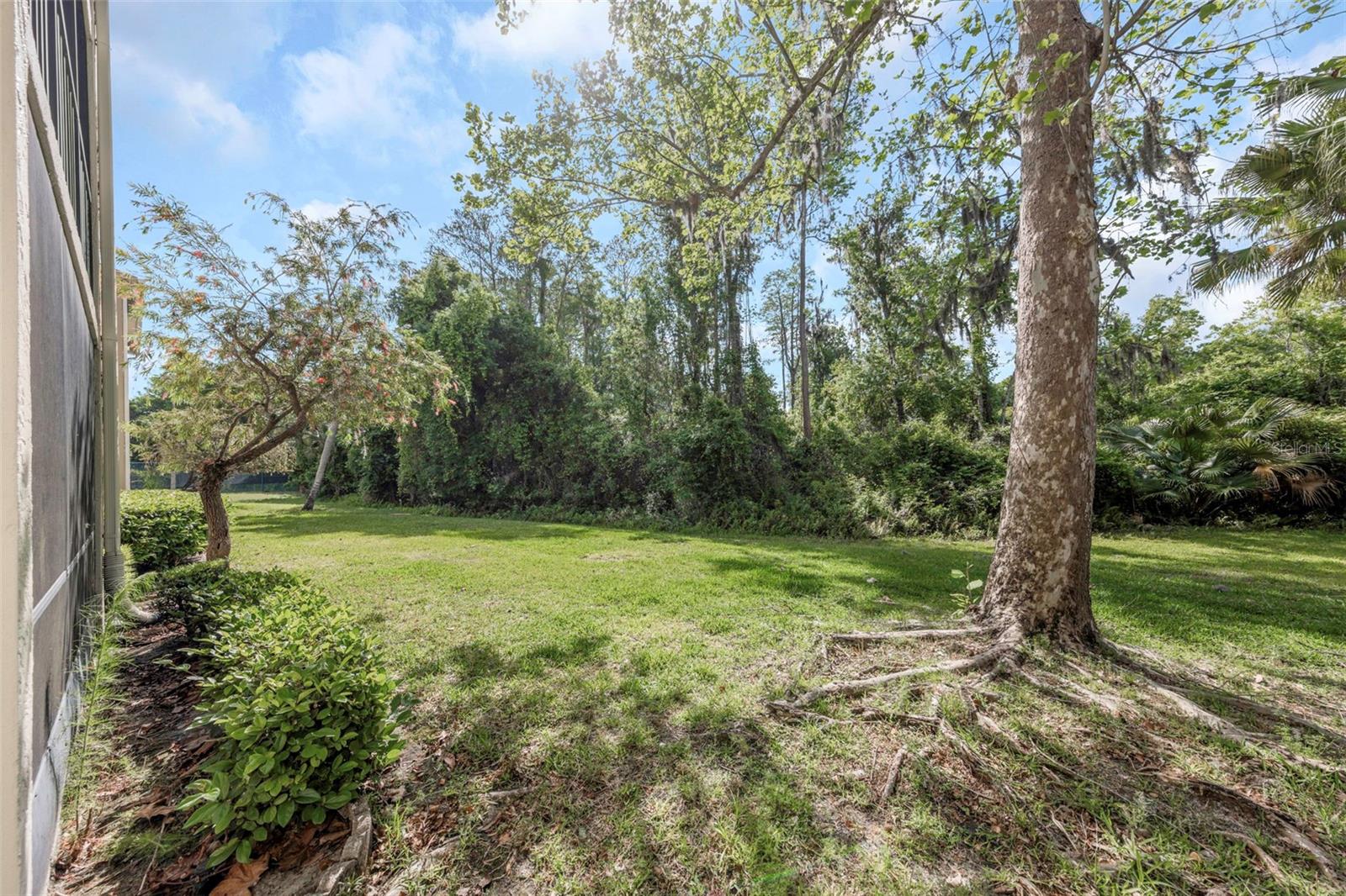 3166 LAKE PINE WAY S #H1, TARPON SPRINGS, FL, 34688