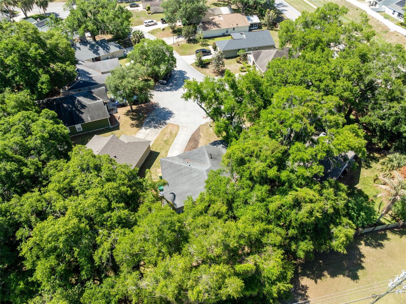 601 ARLINGTON CT, EUSTIS, FL, 32726