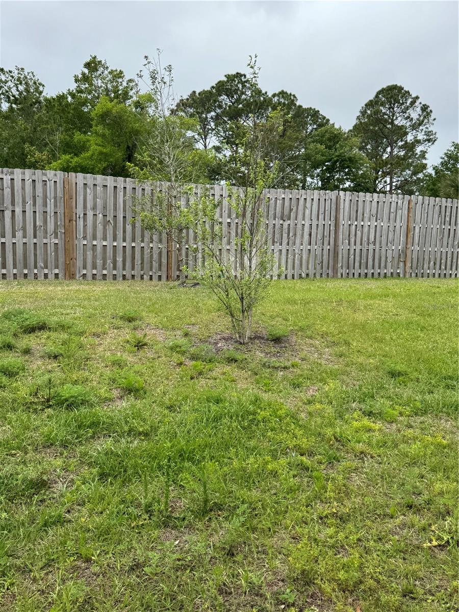 203 CHESTERWOOD RD, ST AUGUSTINE, FL, 32084