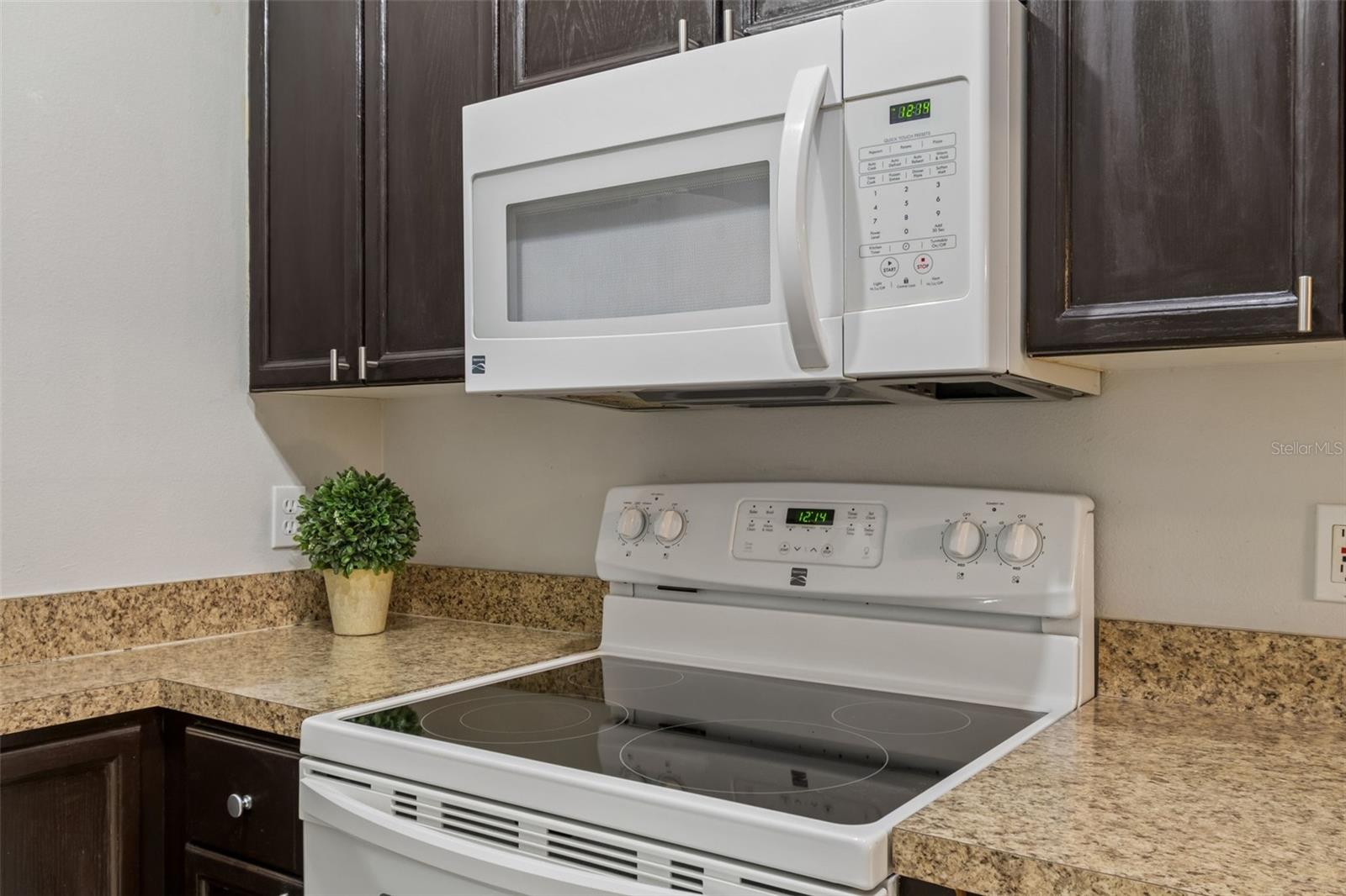 1050 STARKEY RD #207, LARGO, FL, 33771