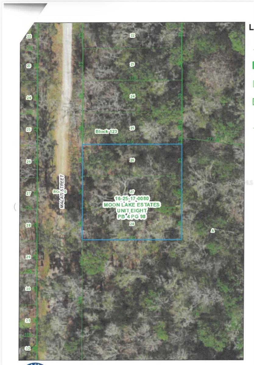 MALATI ST, NEW PORT RICHEY, FL, 34654