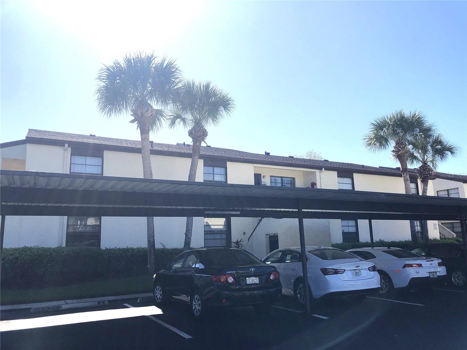 13608 S VILLAGE DR #8203, TAMPA, FL, 33618