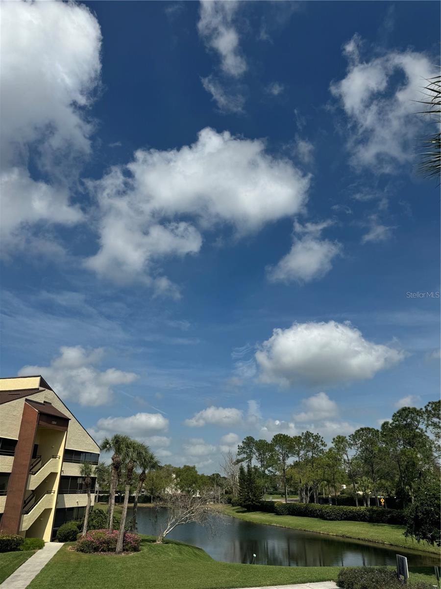13608 S VILLAGE DR #8203, TAMPA, FL, 33618
