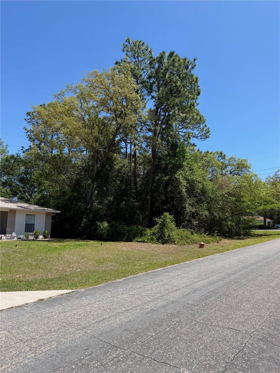 8975 N TRAVIS DR, CITRUS SPRINGS, FL, 34434