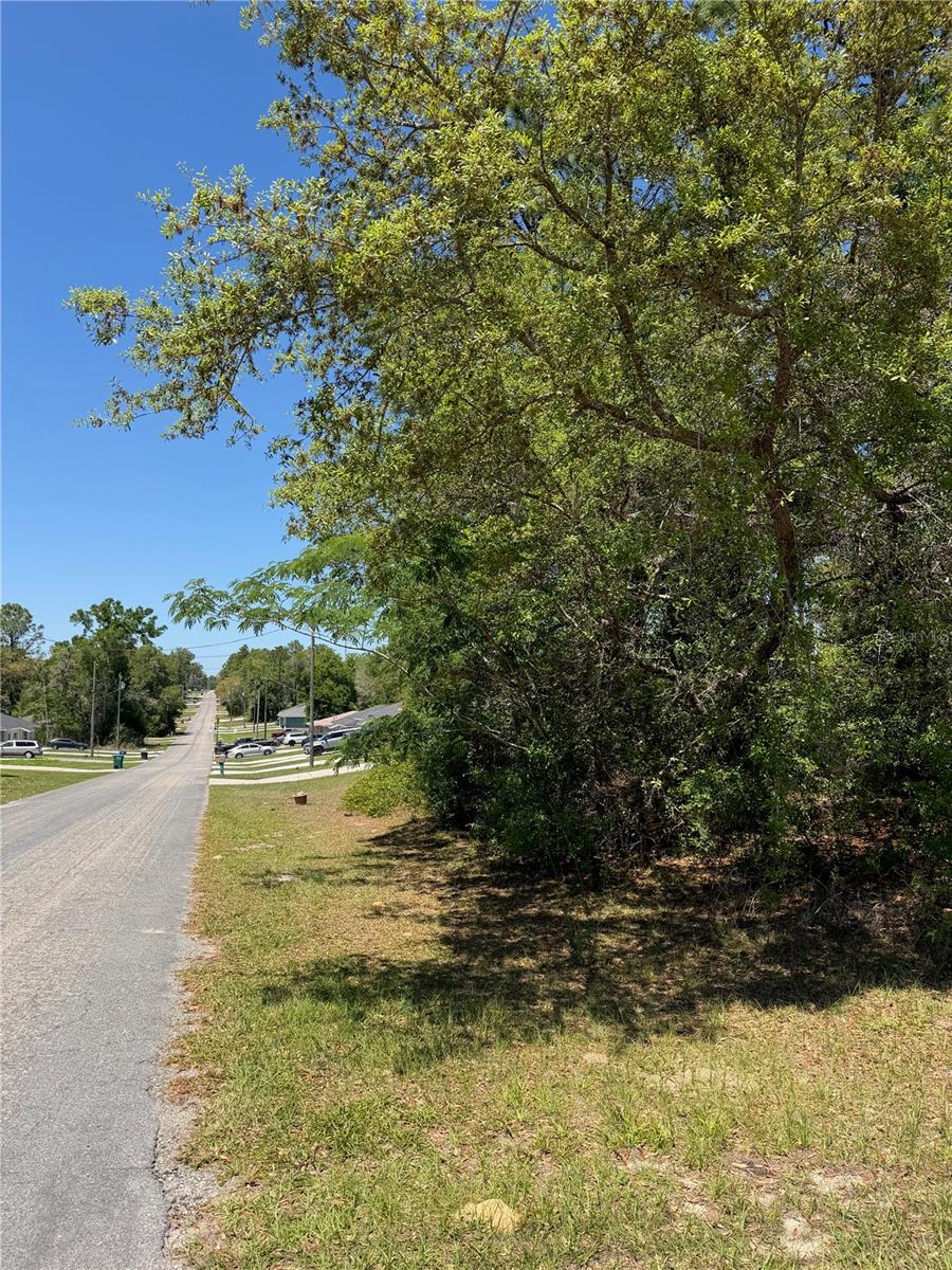 8975 N TRAVIS DR, CITRUS SPRINGS, FL, 34434