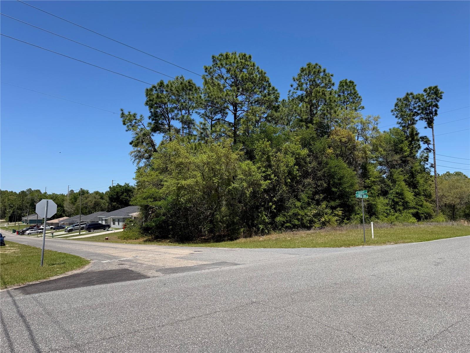 8975 N TRAVIS DR, CITRUS SPRINGS, FL, 34434