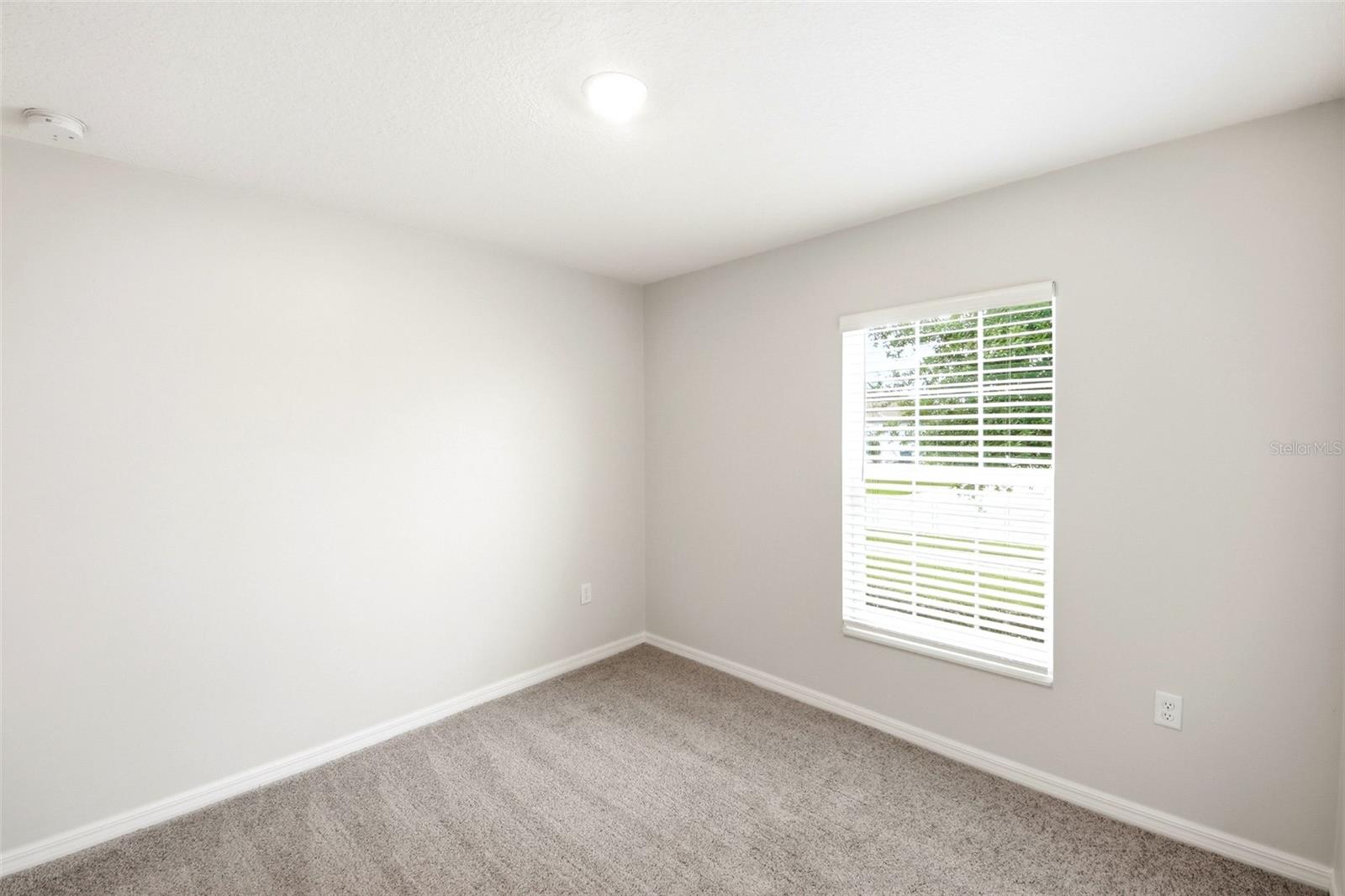 1668 GOPHER TREE ST, MASCOTTE, FL, 34753