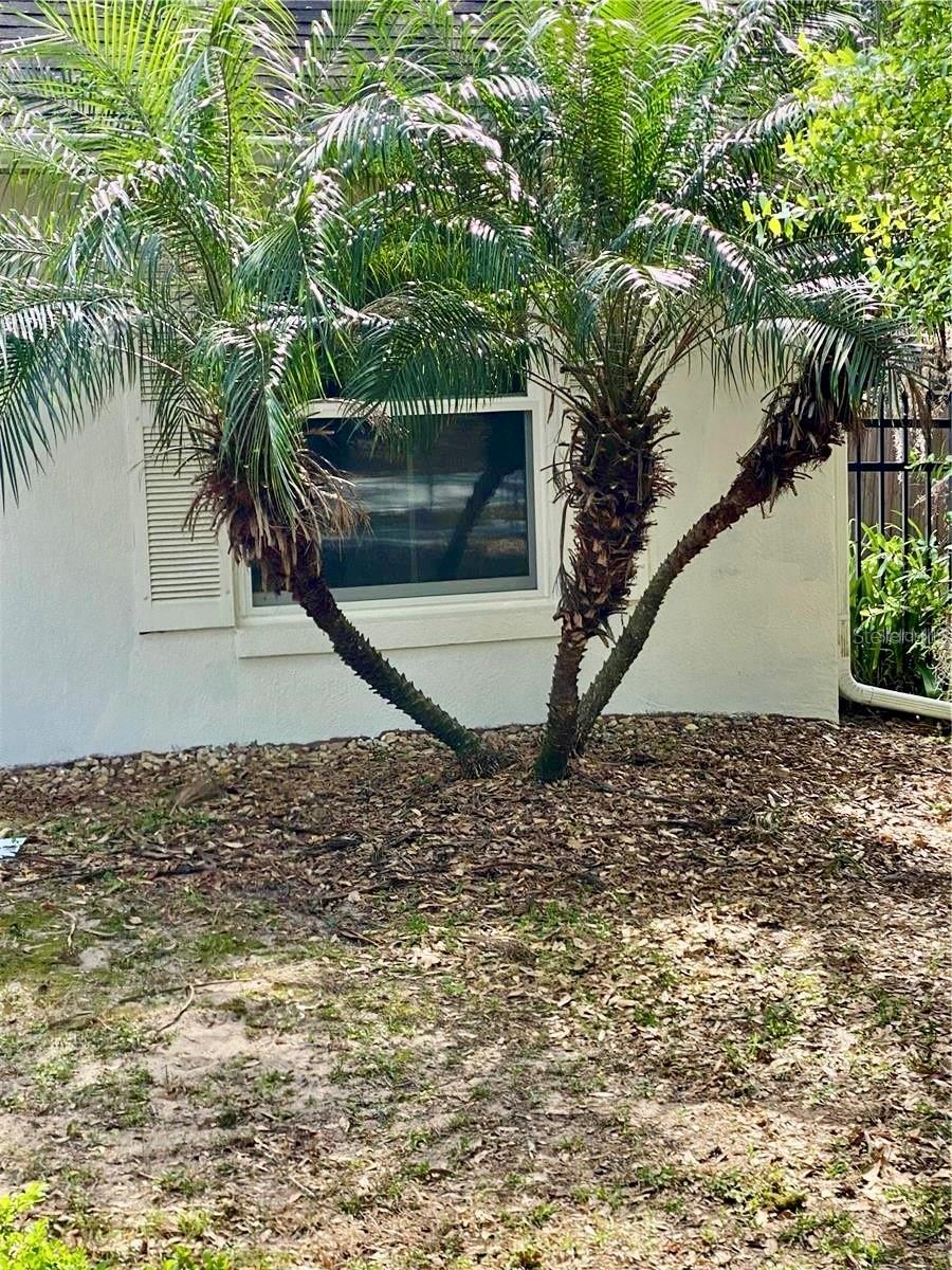 201 E BAKER ST, MINNEOLA, FL, 34715