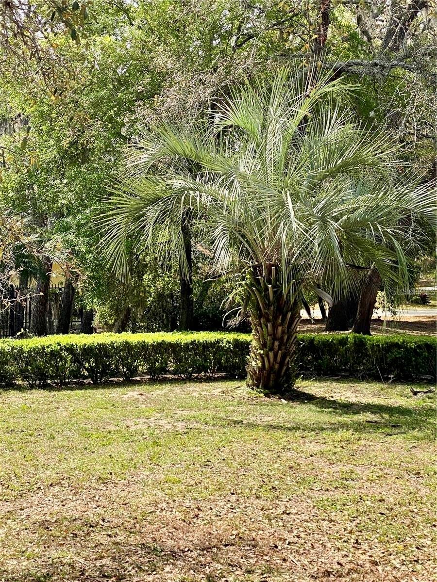 201 E BAKER ST, MINNEOLA, FL, 34715