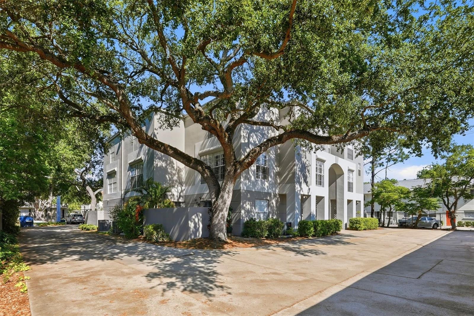 606 S GLEN AVE #11, TAMPA, FL, 33609