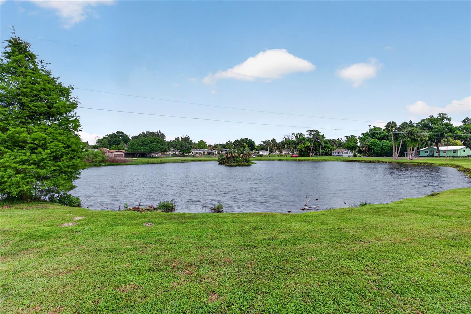 431 EDGEWATER AVE, UMATILLA, FL, 32784
