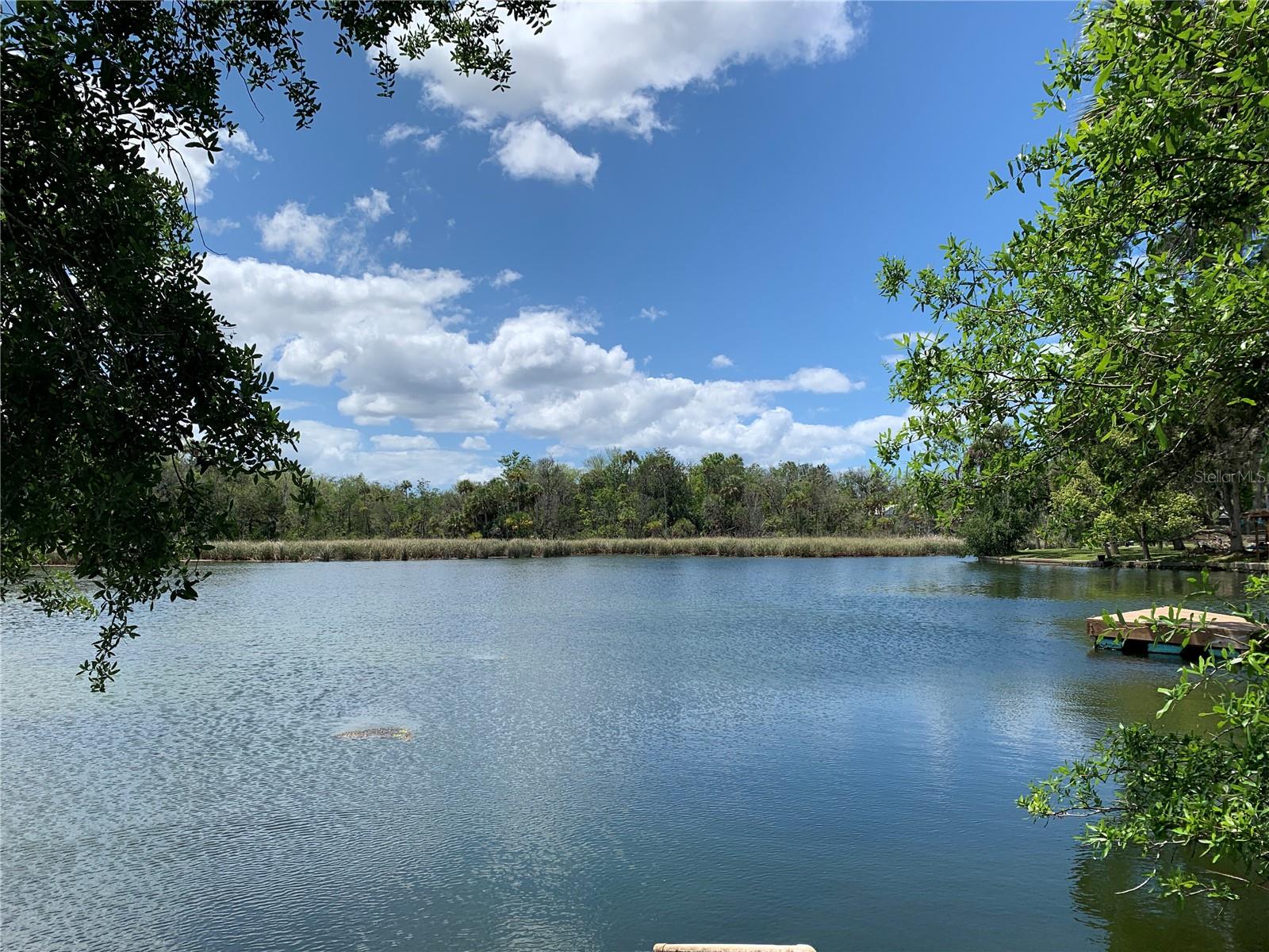 1045 N CRESCENT DR, CRYSTAL RIVER, FL, 34429