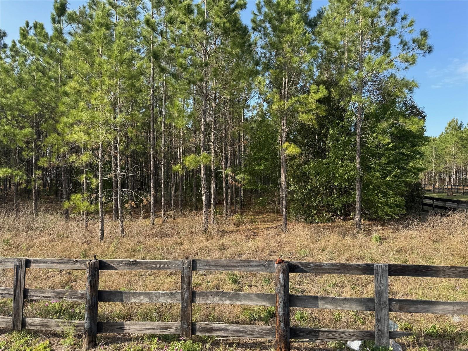 STATE ROAD 44, EUSTIS, FL, 32726
