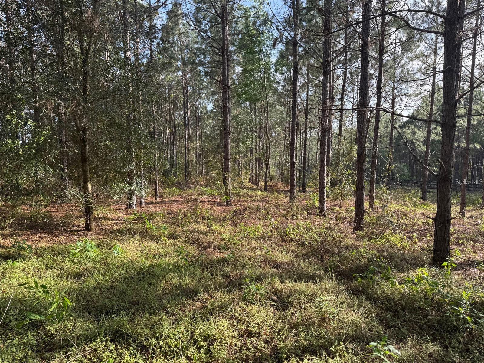 STATE ROAD 44, EUSTIS, FL, 32726