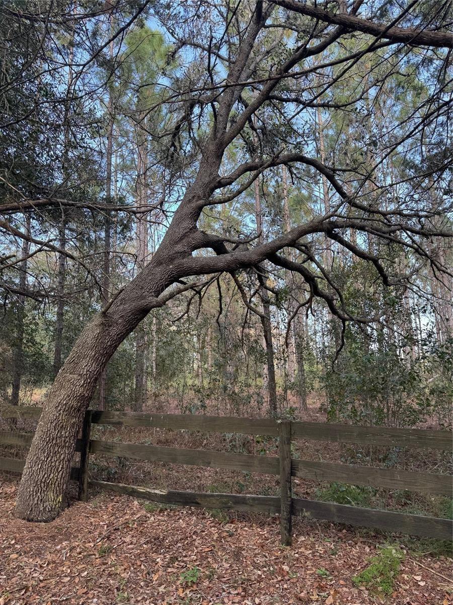 STATE ROAD 44, EUSTIS, FL, 32726
