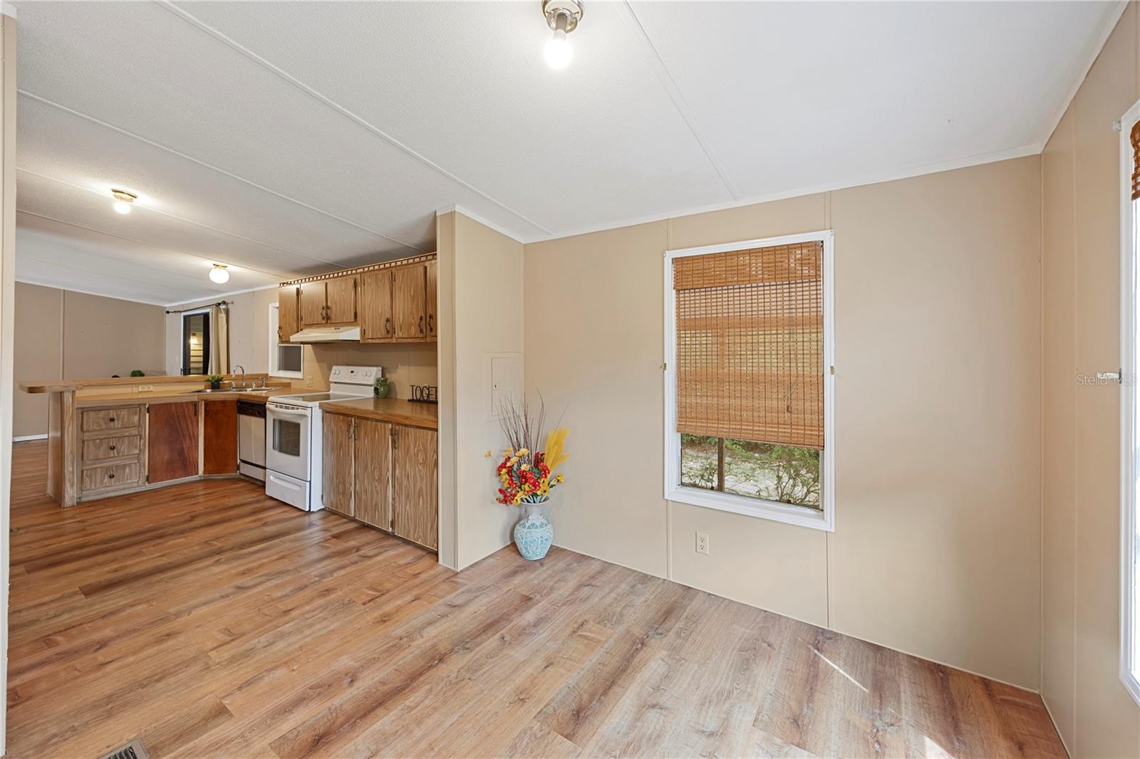 36833 SHADOW HILL DR, FRUITLAND PARK, FL, 34731