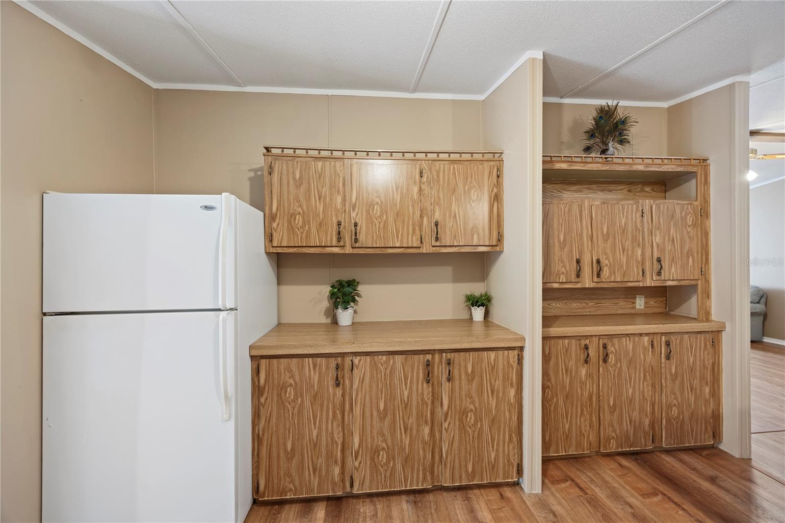 36833 SHADOW HILL DR, FRUITLAND PARK, FL, 34731