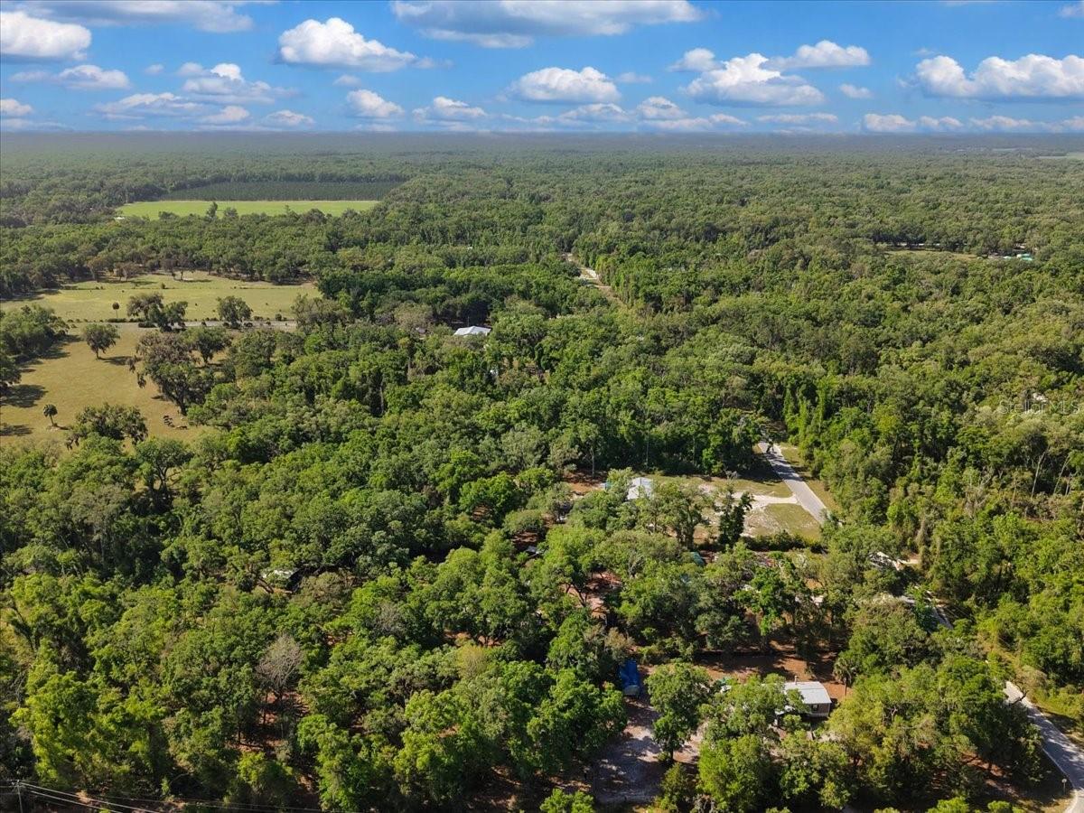 INDIAN OAKS, OLD TOWN, FL, 32680