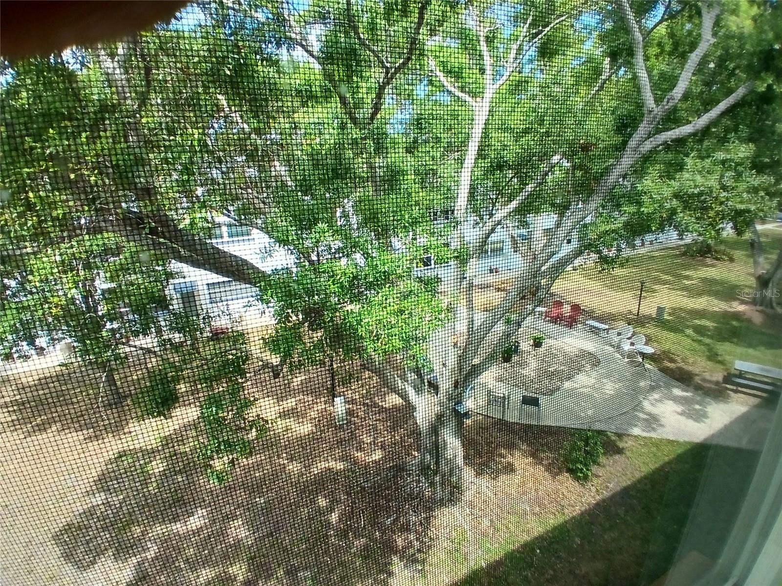 5880 38TH AVE N #304, ST PETERSBURG, FL, 33710