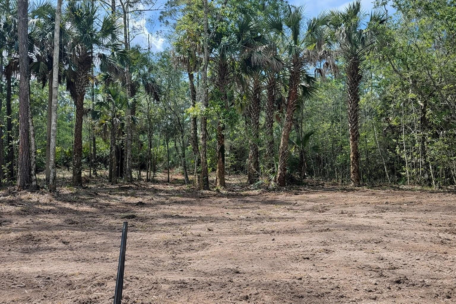 2216 LAUREL AVE, BUNNELL, FL, 32110