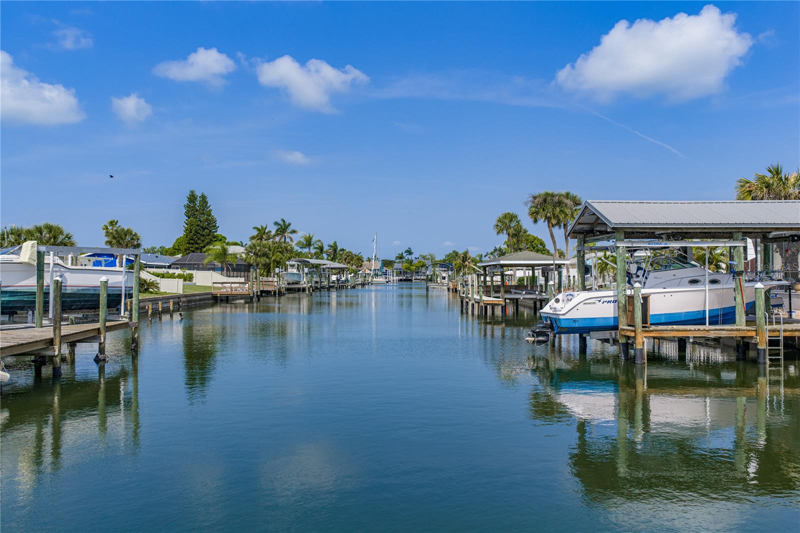 1004 SAGO PALM WAY, APOLLO BEACH, FL, 33572