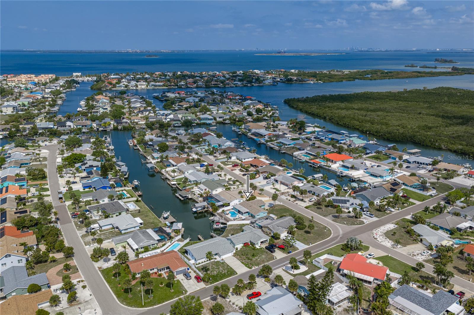 1004 SAGO PALM WAY, APOLLO BEACH, FL, 33572