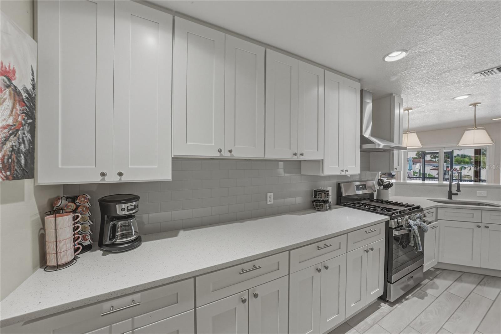 1004 SAGO PALM WAY, APOLLO BEACH, FL, 33572