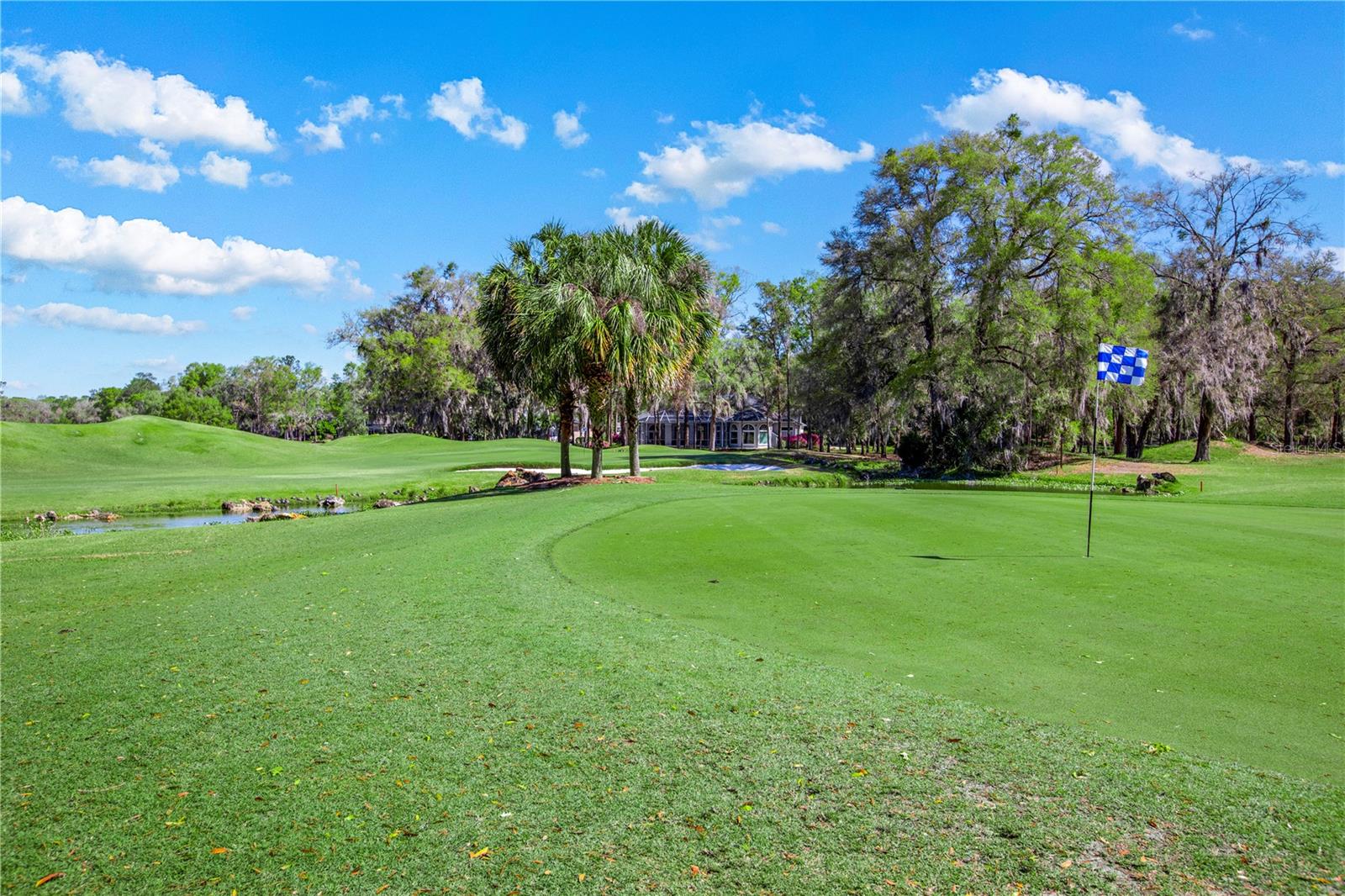 10000 SW 52ND AVE #124, GAINESVILLE, FL, 32608