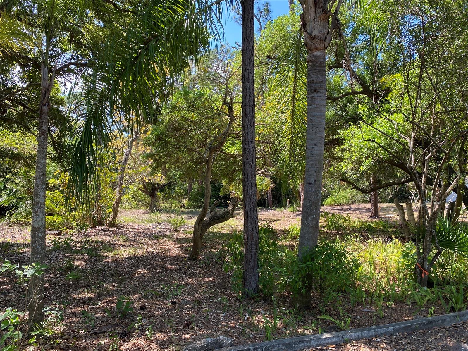 9191 GEWANT BLVD, PUNTA GORDA, FL, 33982