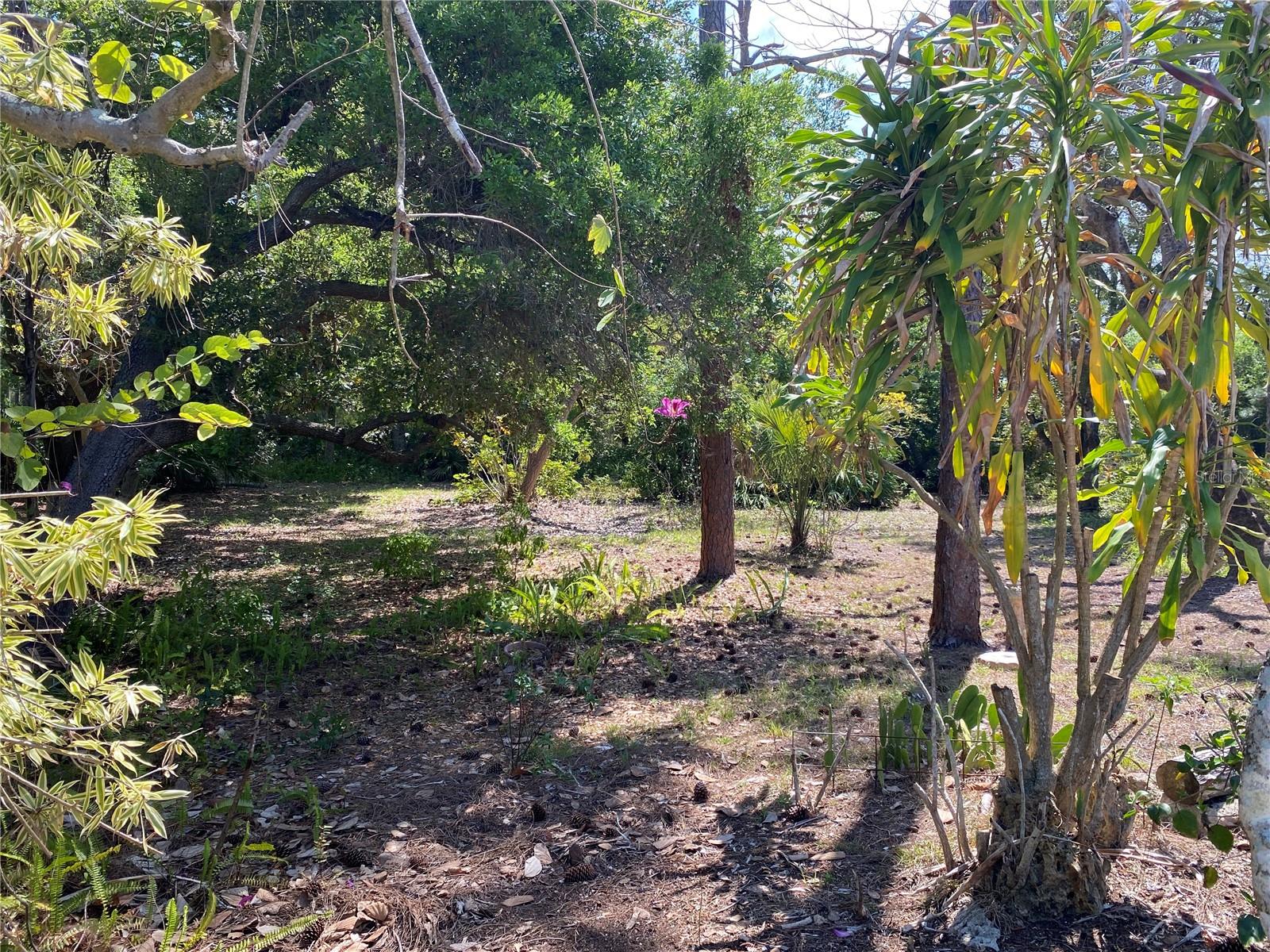 9191 GEWANT BLVD, PUNTA GORDA, FL, 33982