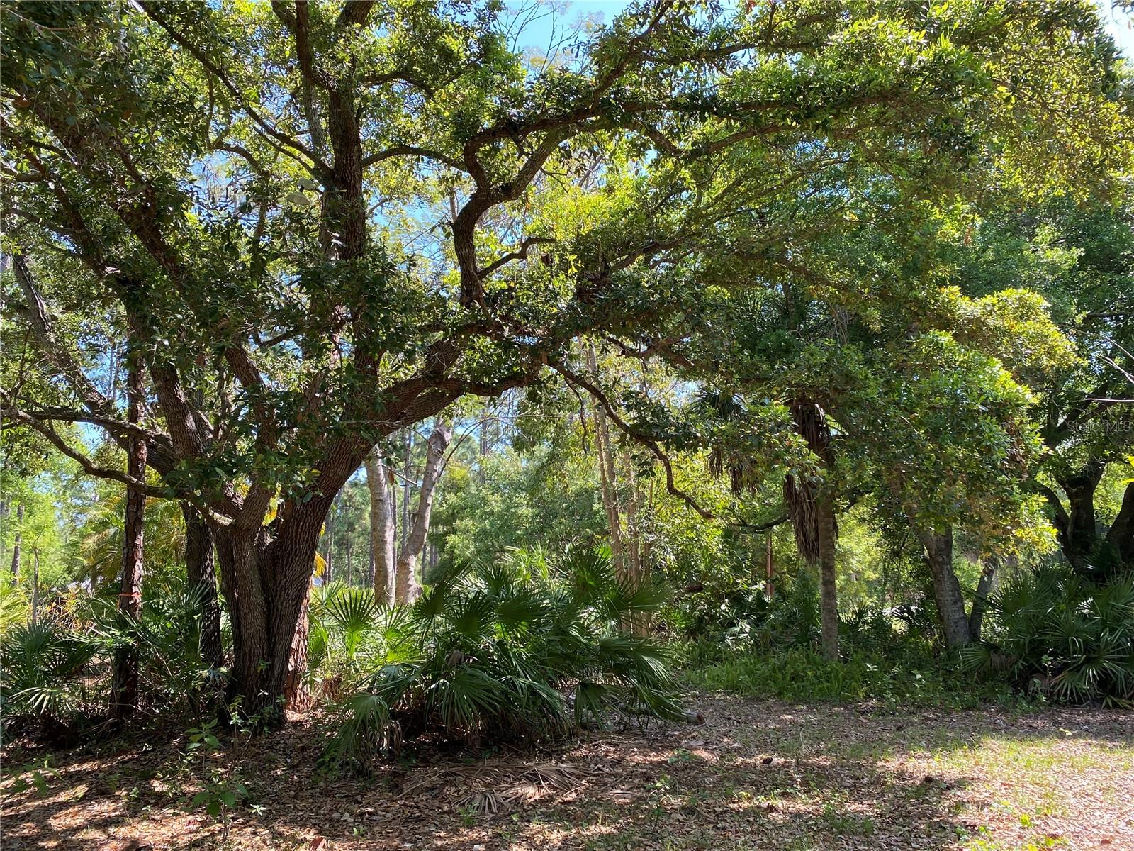 9191 GEWANT BLVD, PUNTA GORDA, FL, 33982