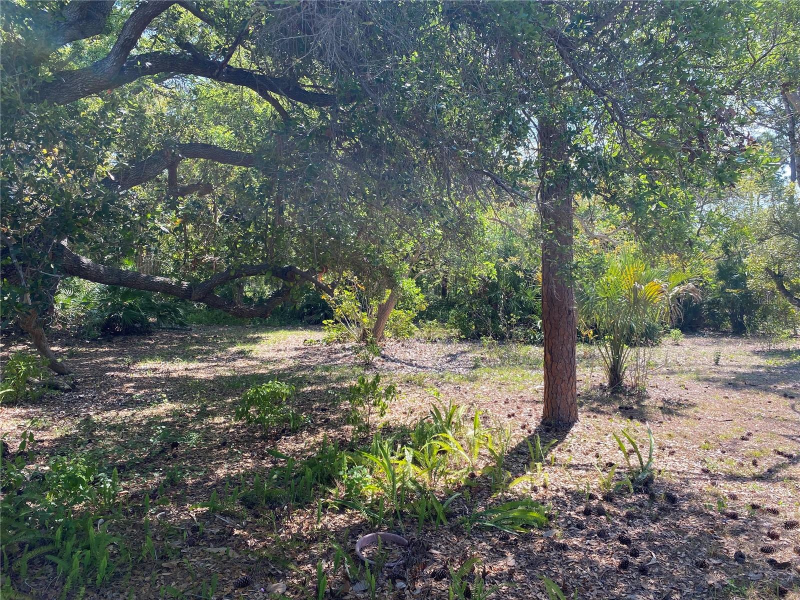 9191 GEWANT BLVD, PUNTA GORDA, FL, 33982