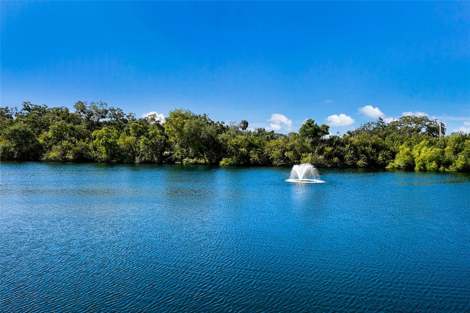 1218 56TH ST W #1218, BRADENTON, FL, 34209