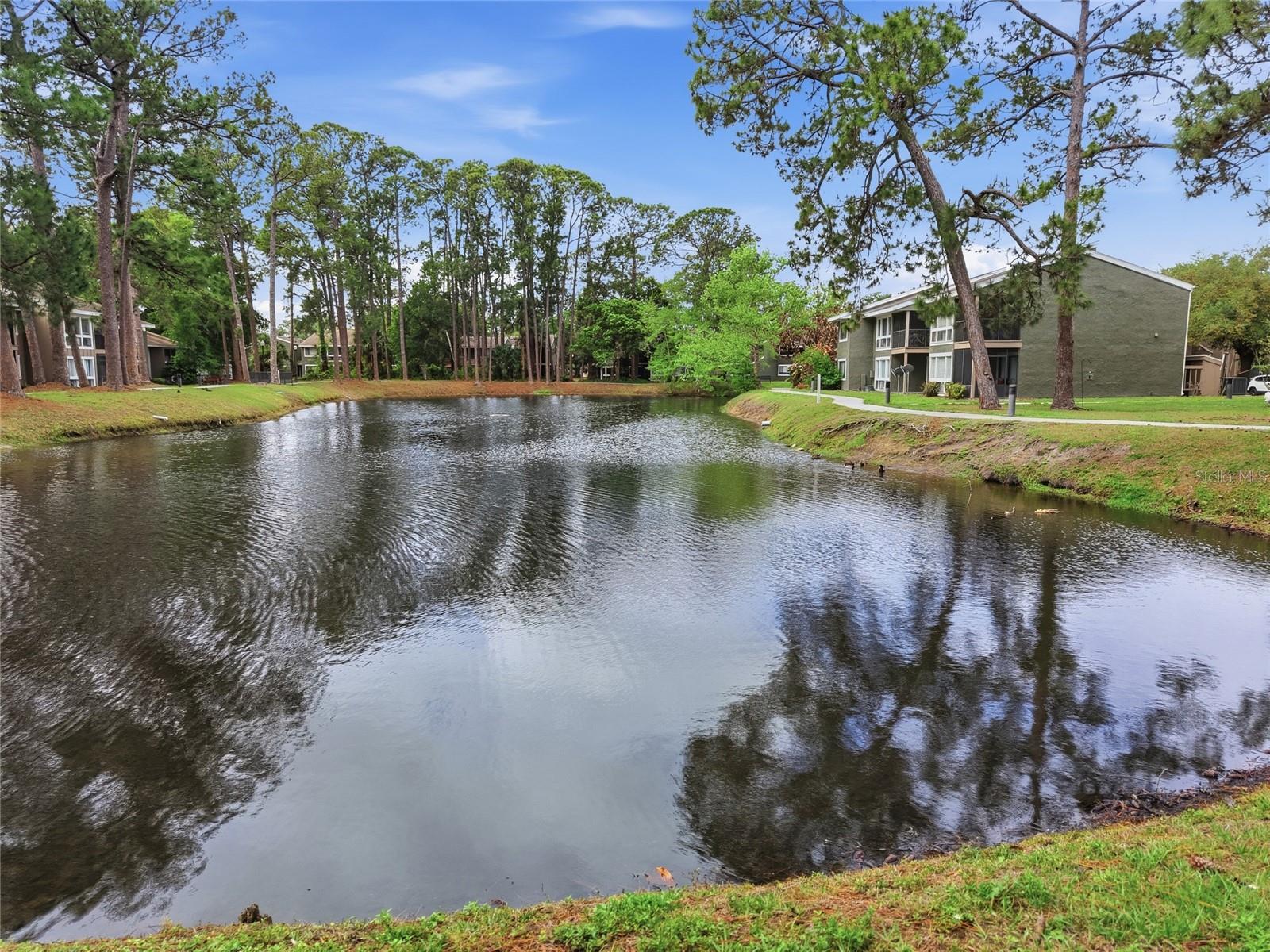 6060 PEREGRINE AVE #17E, ORLANDO, FL, 32819