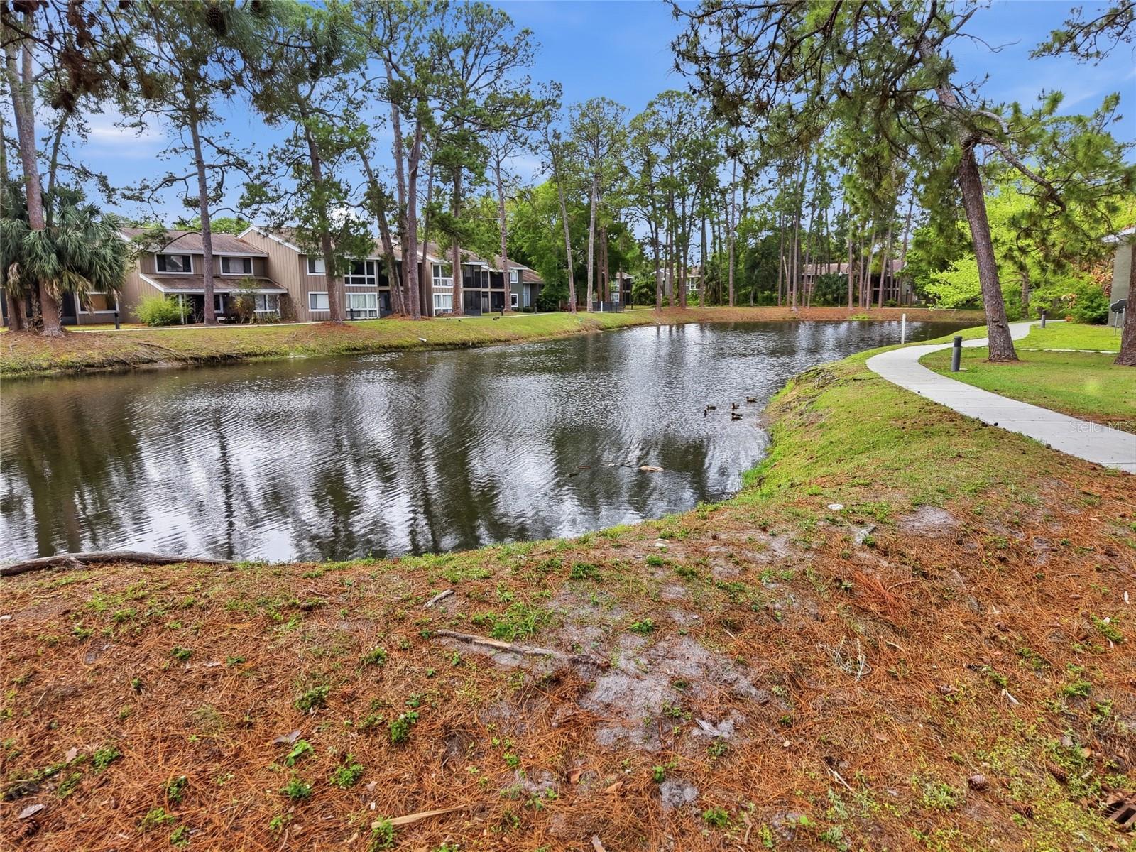 6060 PEREGRINE AVE #17E, ORLANDO, FL, 32819